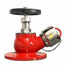 [Landing valve] 2 1/2" Landing valve, Flanged